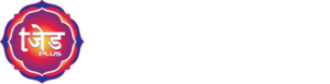 The Z plus
